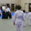 2008 Stage dac aikido